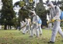 Dengue: registran 80 nuevos casos en la provincia de Buenos Aires.