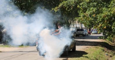 INFORME SOBRE DENGUE EN EL PARTIDO DE CAÑUELAS