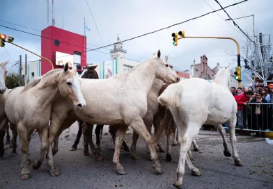 Con gran desfile gaucho, Cañuelas celebró el Día de los Centros Tradicionalistas