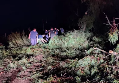 El Municipio desplegó un operativo de emergencia tras el fuerte temporal.