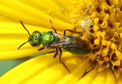 La Tierra como lienzo: Muestra Fotográfica en Homenaje a la Pachamama