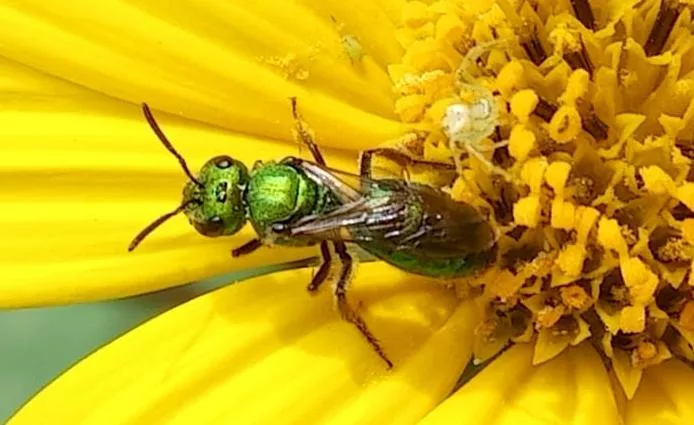 La Tierra como lienzo: Muestra Fotográfica en Homenaje a la Pachamama