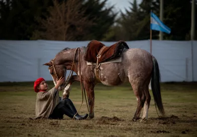 El pequeño Benicio va por la gloria. El pequeño Benicio va por la gloria.