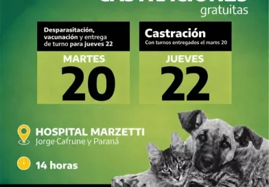 Cañuelas: nueva campaña de castración, vacunación y desparasitación de mascotas. Cañuelas: nueva campaña de castración, vacunación y desparasitación de mascotas.