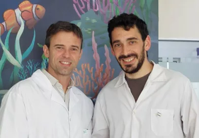 Realizaron con éxito la primera cirugía cardiovascular pediátrica en el Hospital Cuenca Alta. Realizaron con éxito la primera cirugía cardiovascular pediátrica en el Hospital Cuenca Alta.